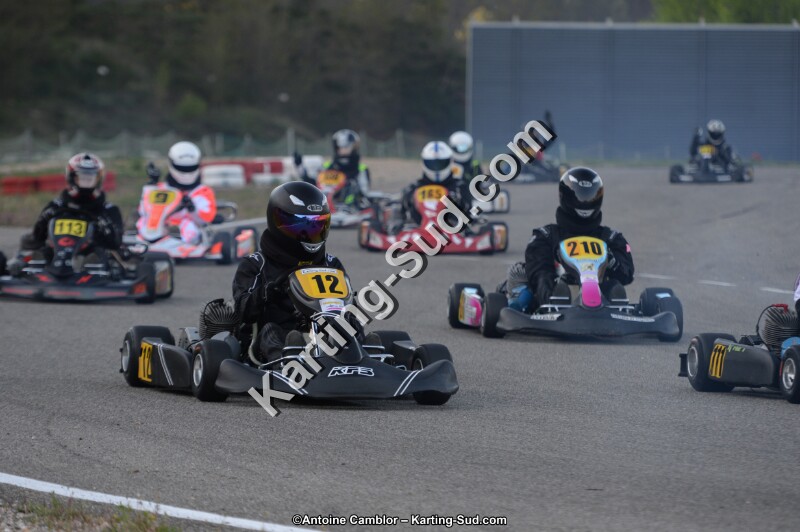 DSC_8736.jpg