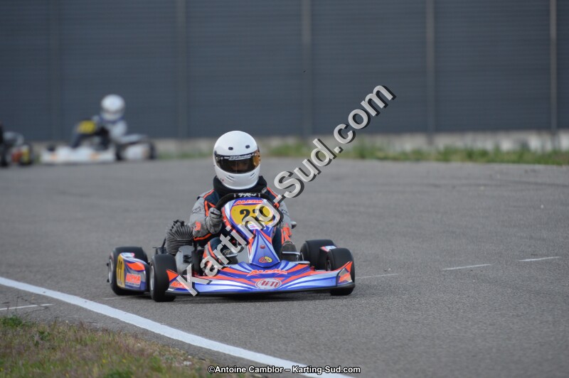 DSC_8781.jpg