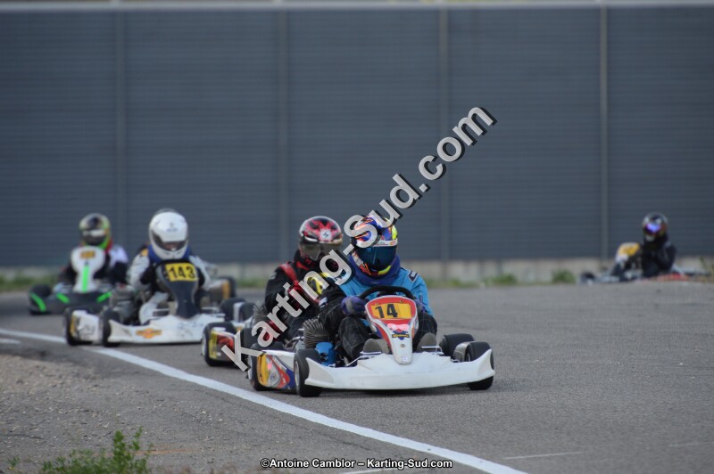 DSC_8782.jpg