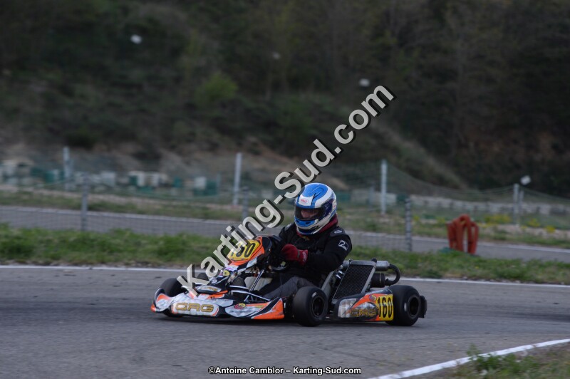 DSC_8930.jpg