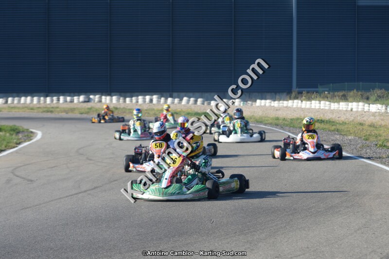 DSC_8982.jpg