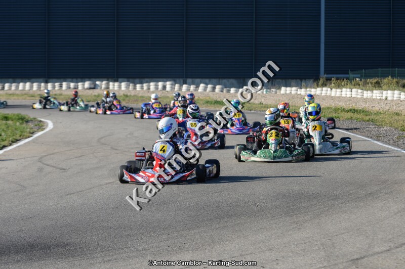 DSC_8987.jpg