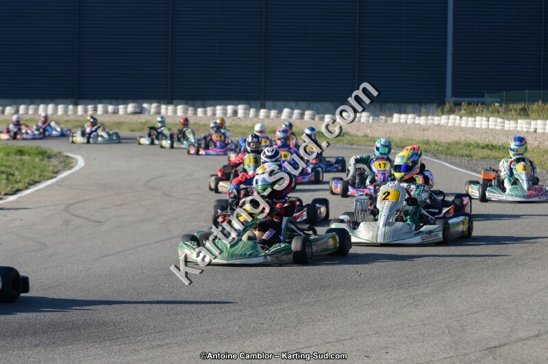 DSC_8988.jpg