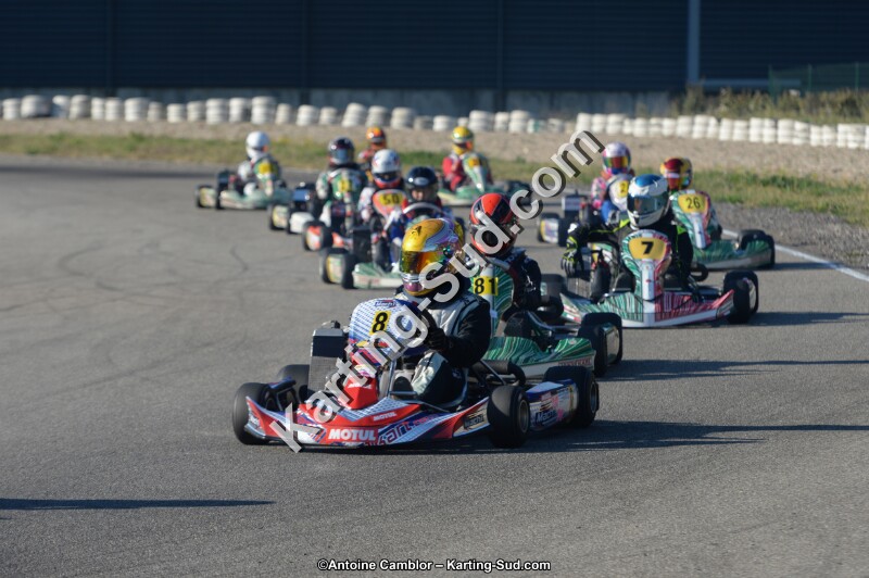 DSC_8992.jpg