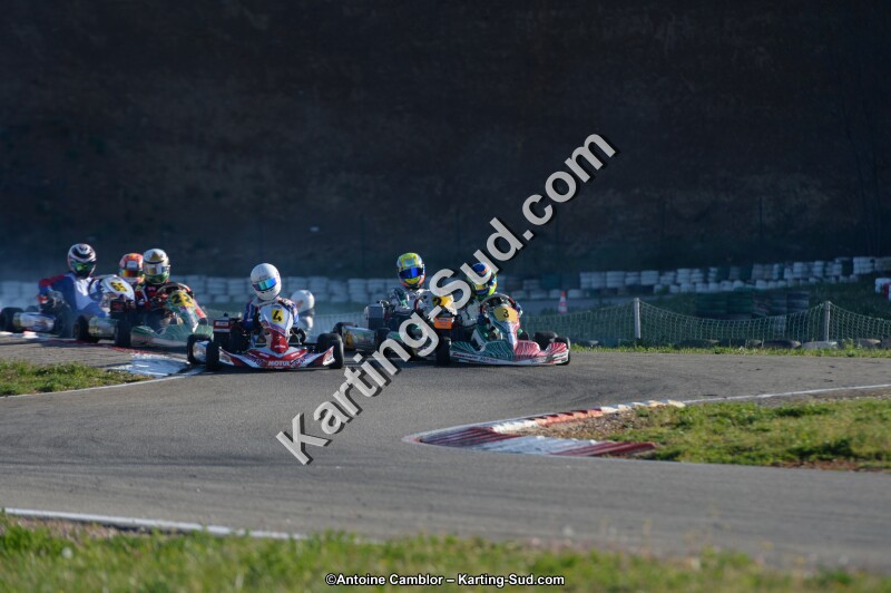 DSC_8994.jpg