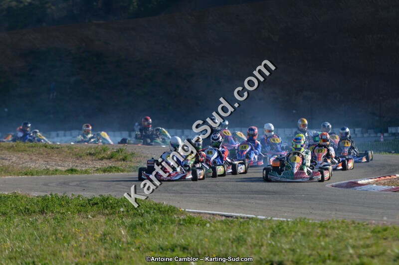 DSC_8995.jpg