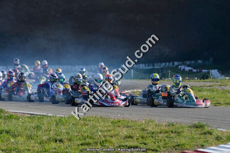 DSC_8996.jpg