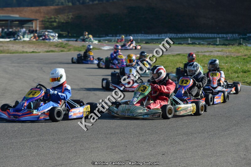 DSC_9024.jpg