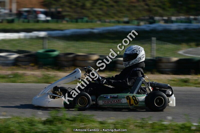 DSC_9208.jpg