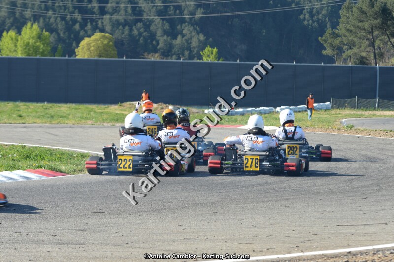 DSC_9278.jpg