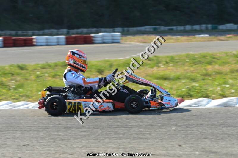 DSC_9296.jpg