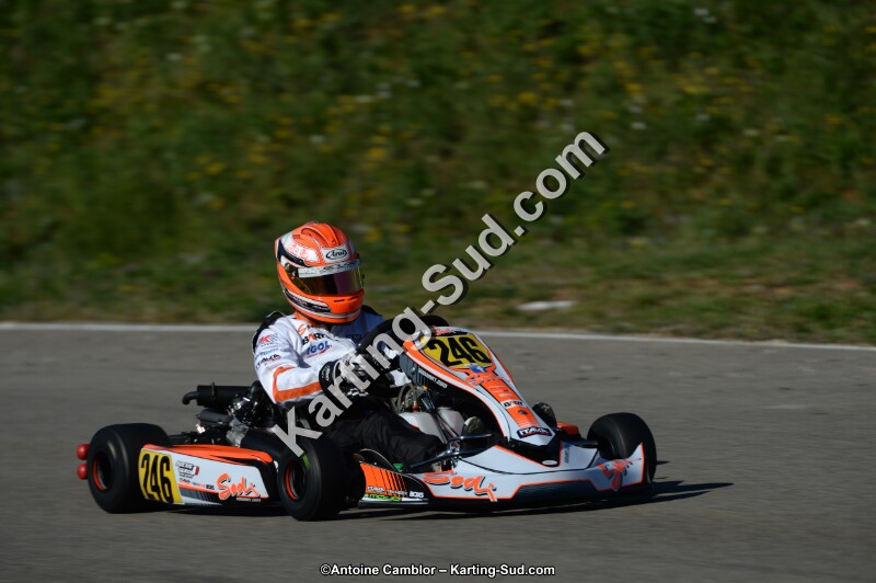 DSC_9305.jpg
