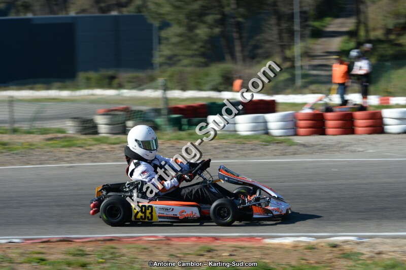 DSC_9338.jpg