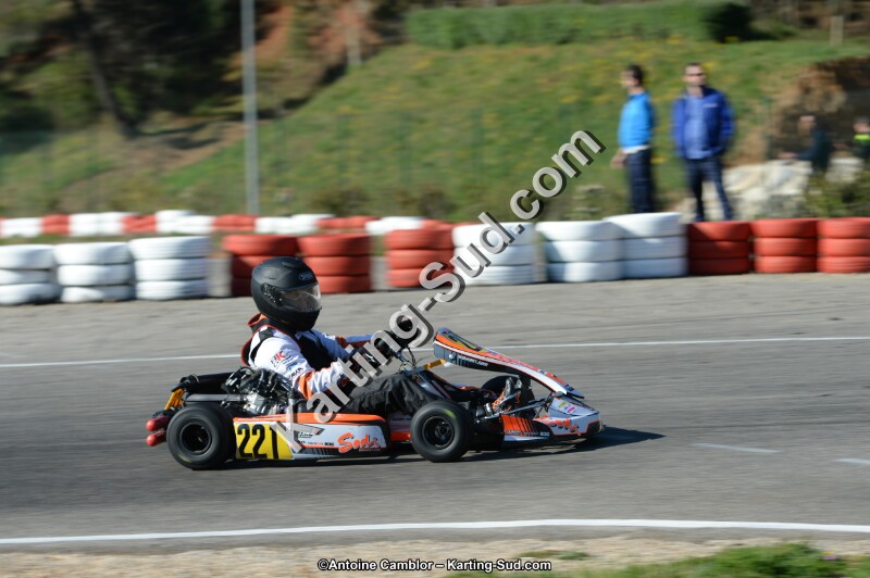 DSC_9339.jpg
