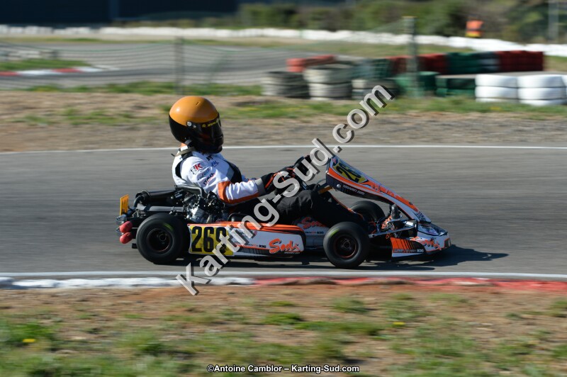 DSC_9341.jpg