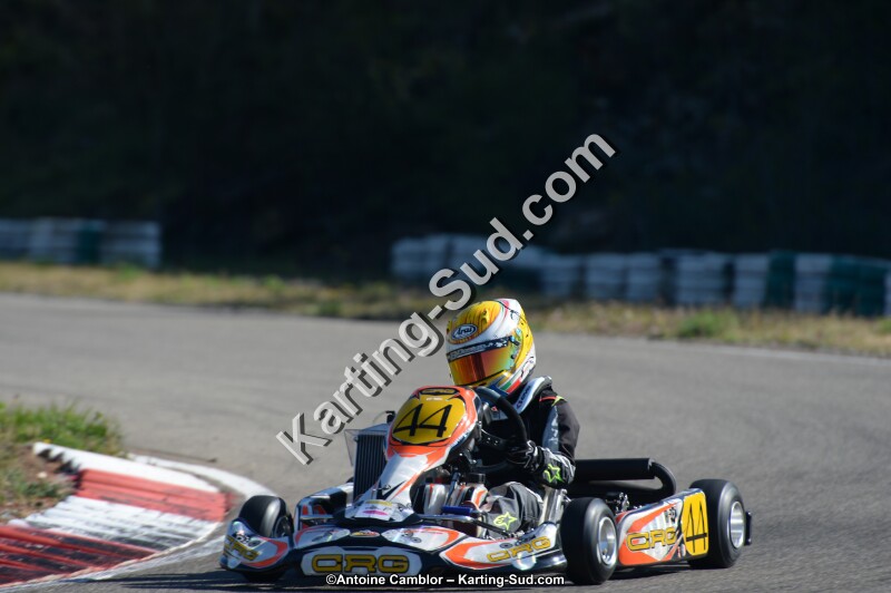 DSC_9498.jpg