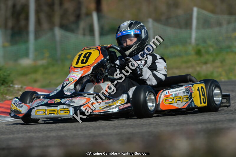 DSC_9533.jpg