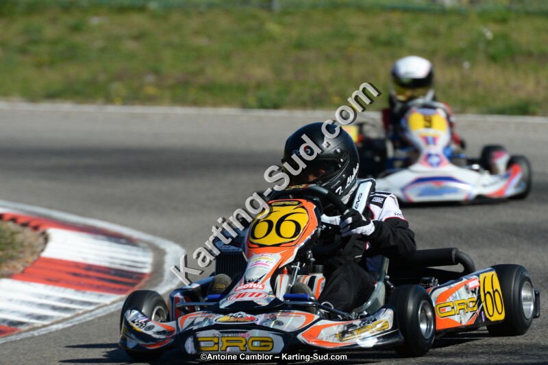 DSC_9543.jpg