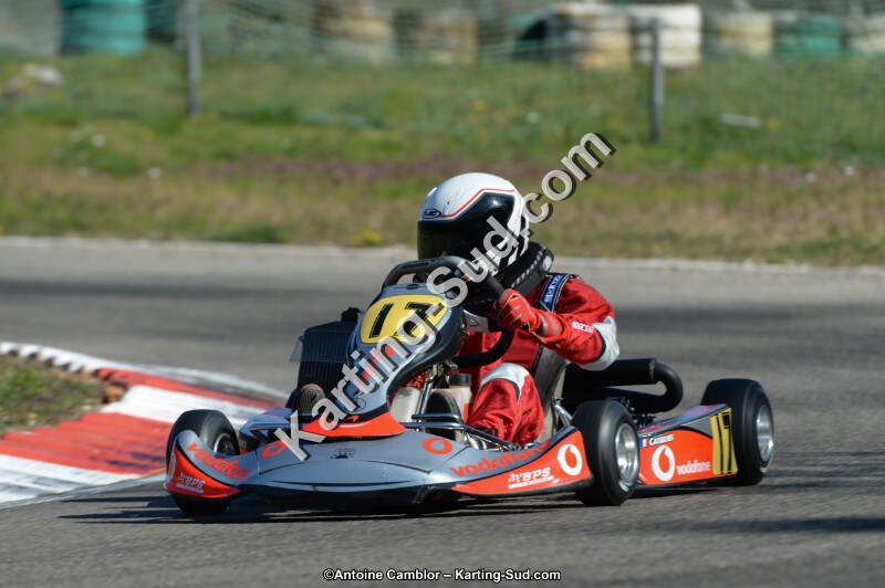 DSC_9558.jpg