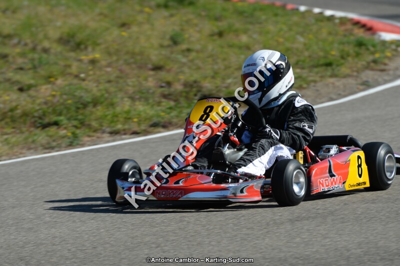 DSC_9559.jpg