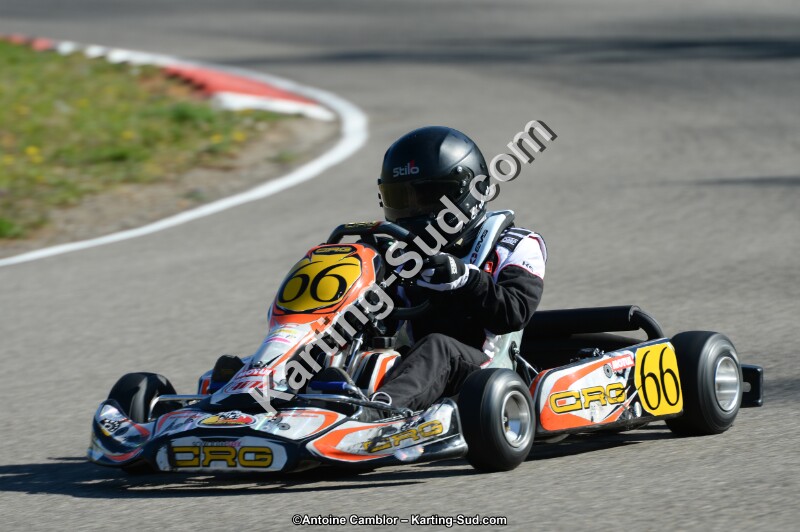 DSC_9565.jpg