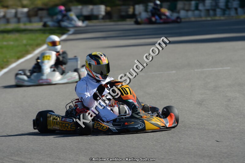 DSC_9593.jpg