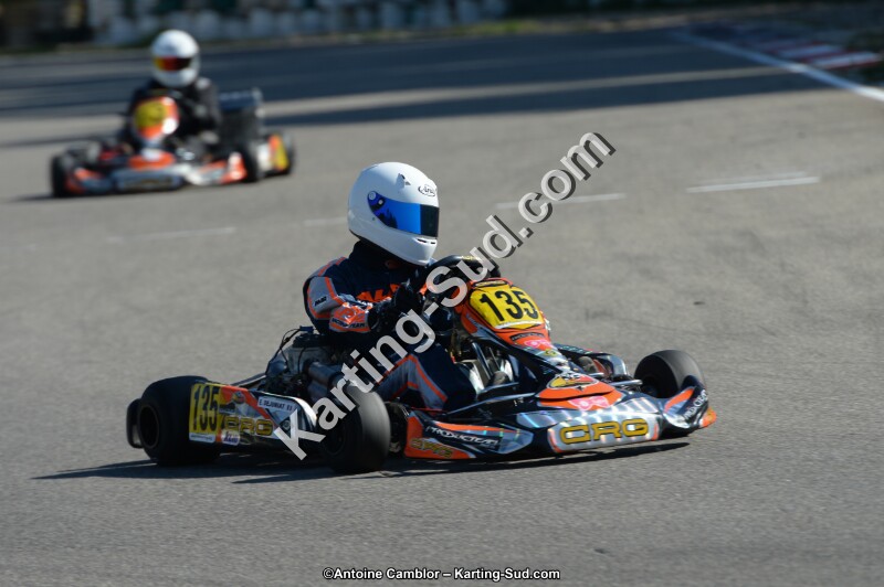 DSC_9600.jpg