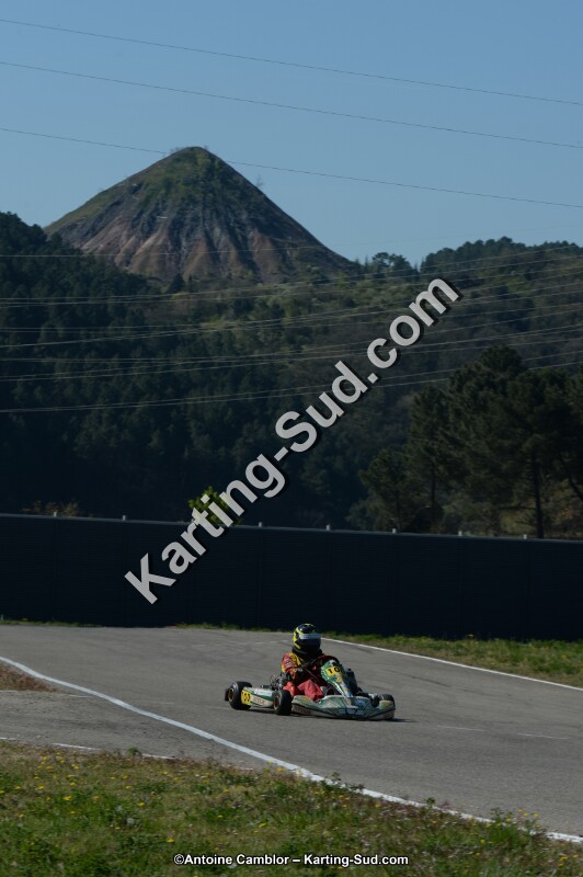 DSC_9611.jpg