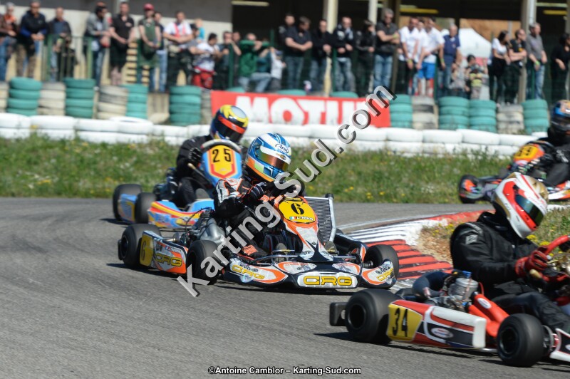 DSC_9887.jpg