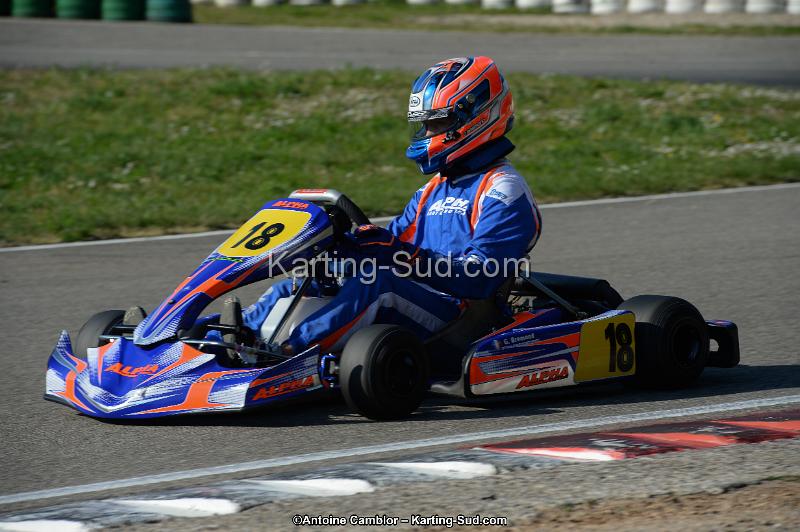 DSC_1534.jpg