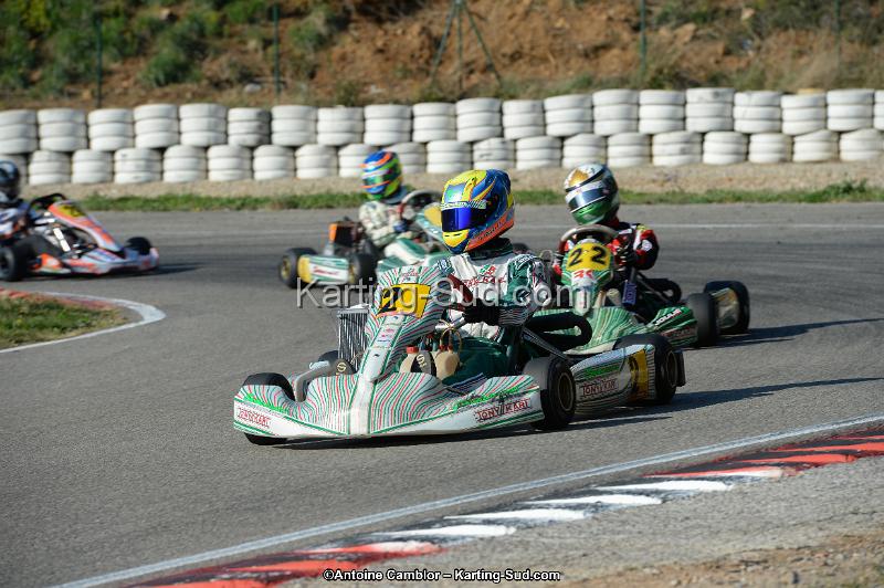 DSC_1537.jpg