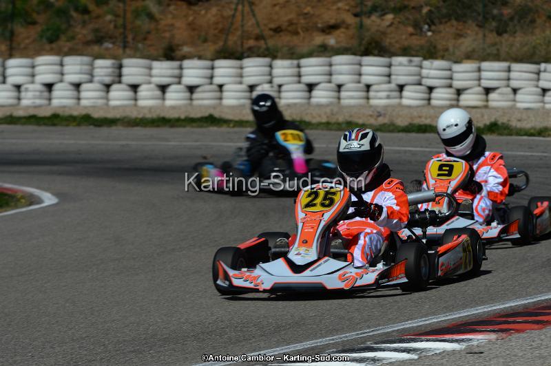 DSC_7456.jpg