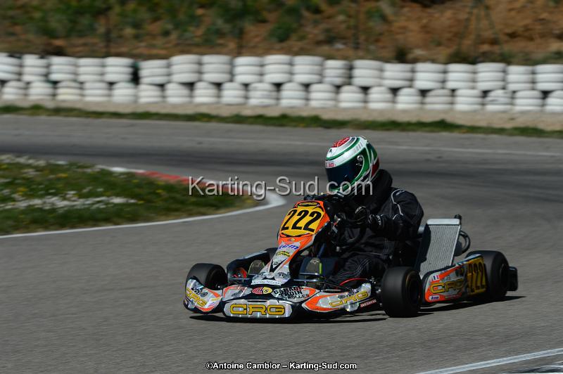 DSC_7466.jpg