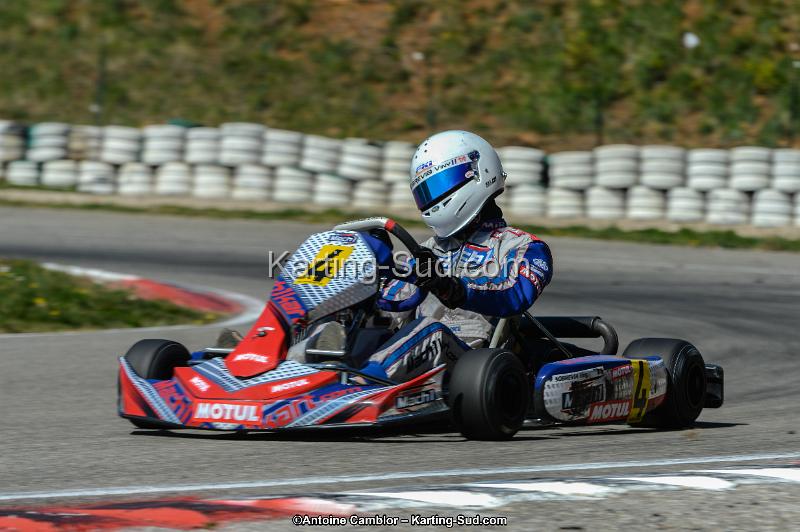 DSC_7527.jpg
