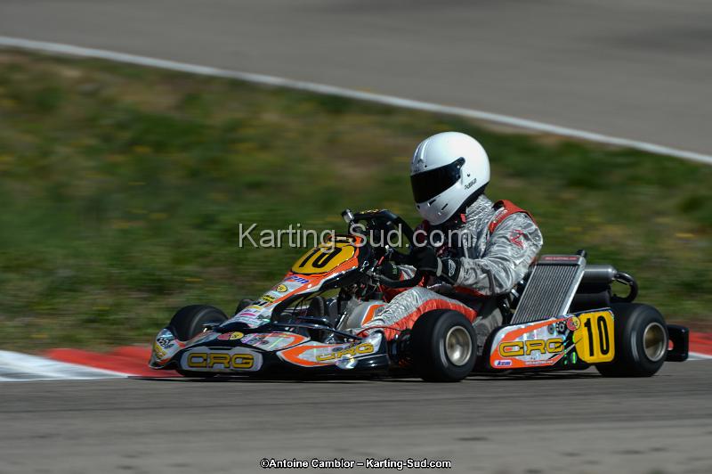 DSC_7599.jpg