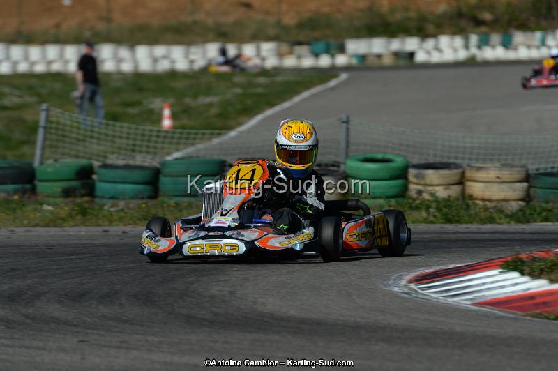 DSC_7840.jpg