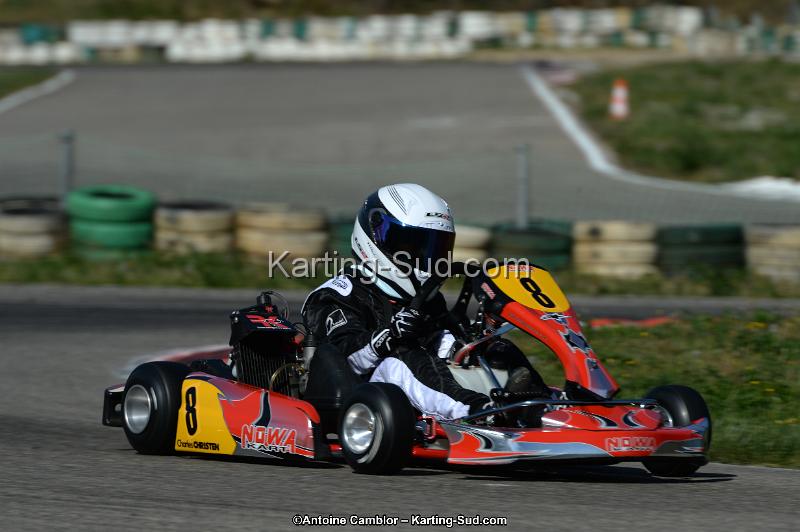 DSC_7850.jpg