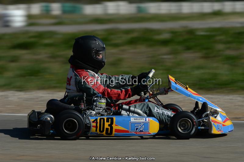 DSC_7883.jpg