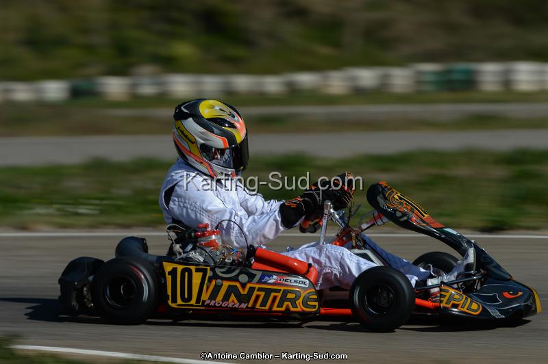DSC_7884.jpg