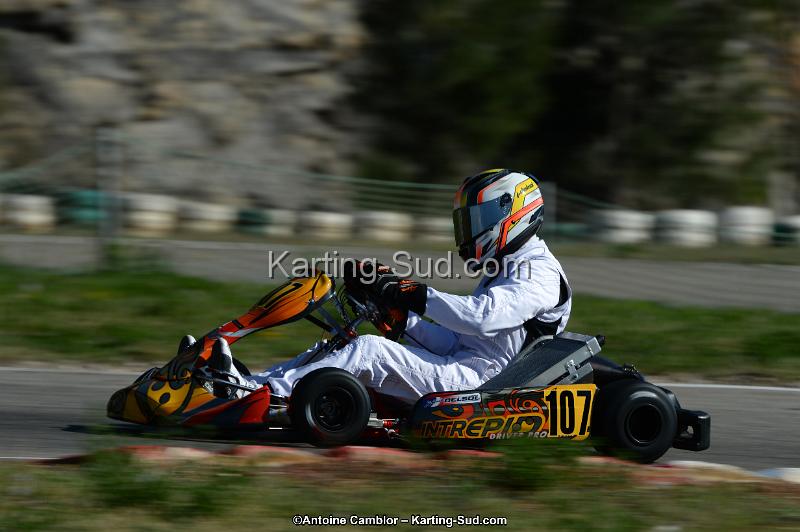 DSC_7902.jpg