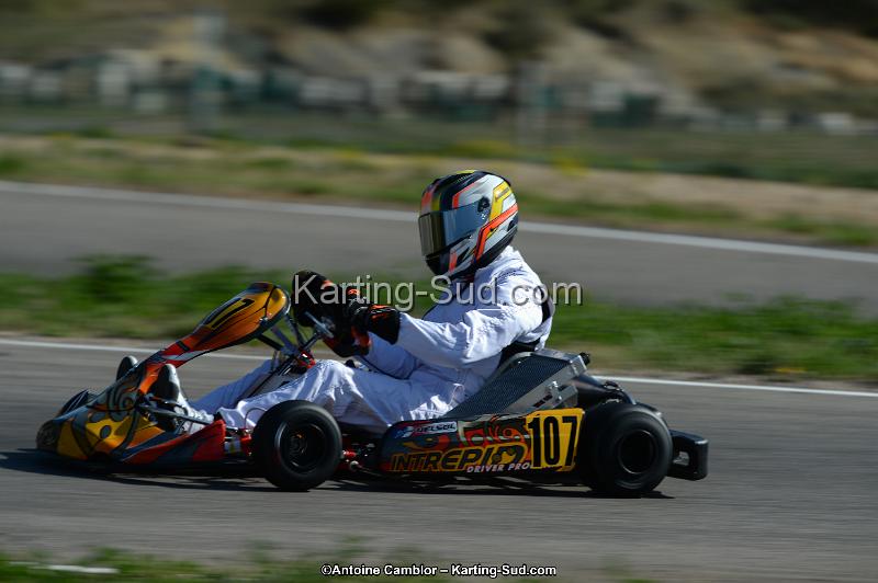 DSC_7913.jpg