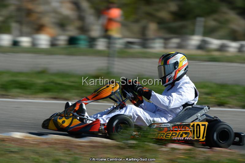 DSC_7914.jpg