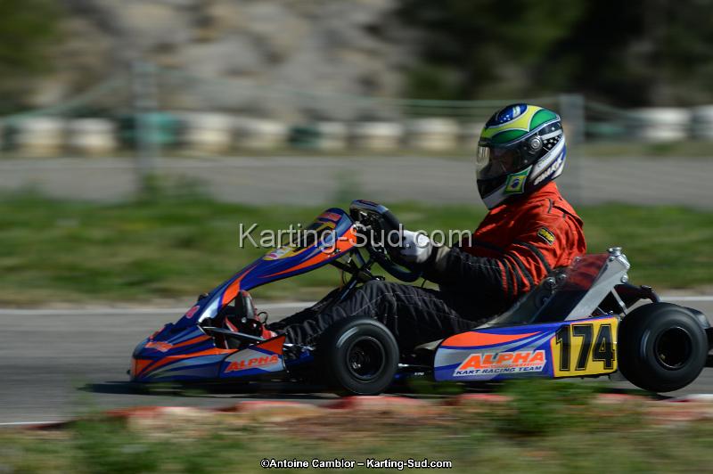 DSC_7916.jpg