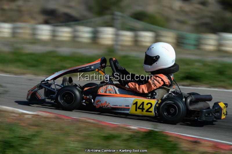 DSC_7937.jpg
