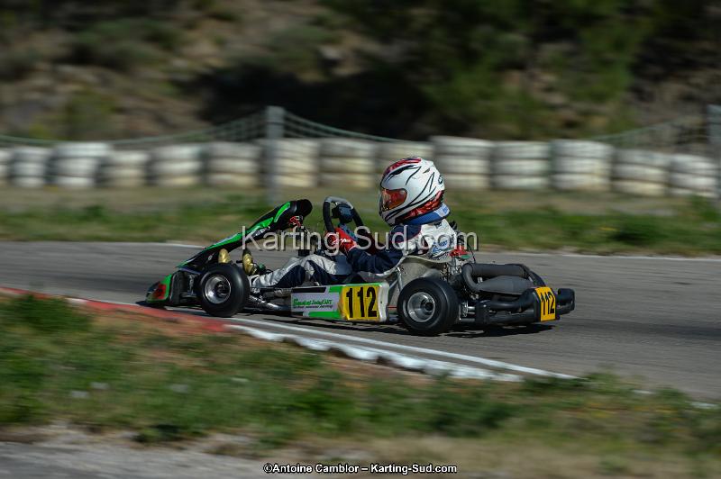 DSC_7951.jpg