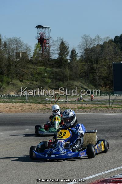 DSC_7986.jpg