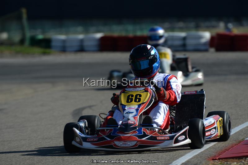 DSC_8036.jpg