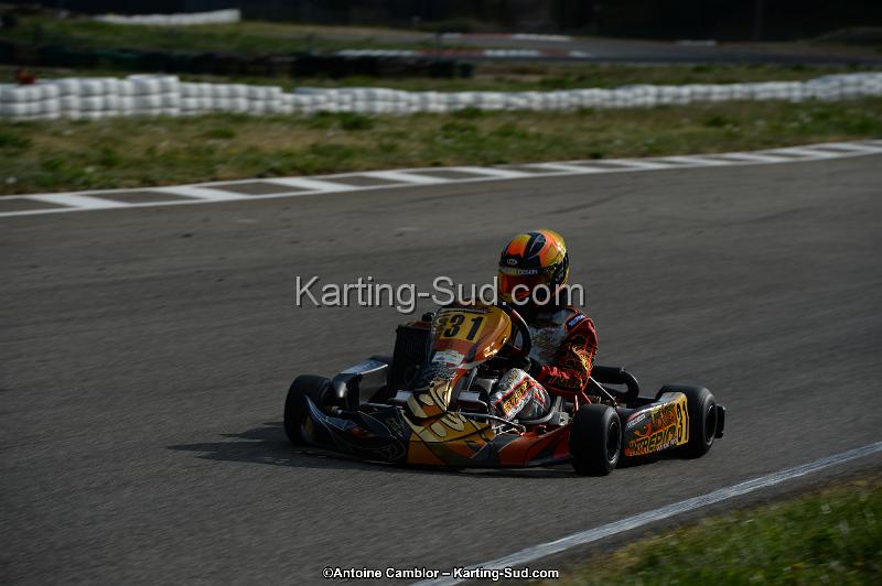 DSC_8061.jpg