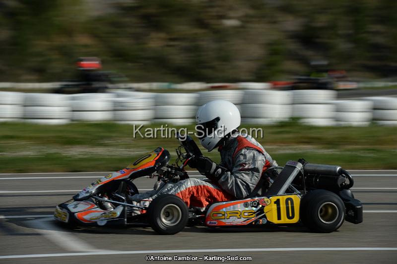 DSC_8119.jpg