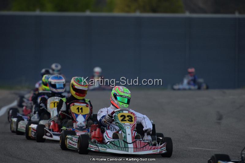 DSC_8548.jpg